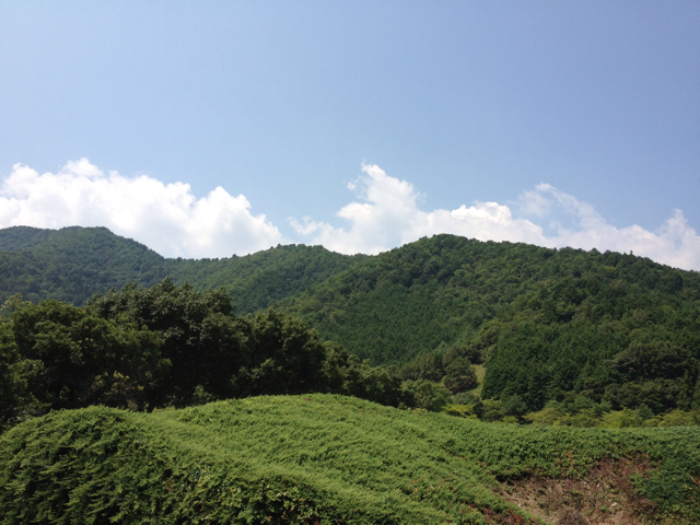 f:id:m3785com:20130814134404j:plain f:id:m3785com:20130814134404j:plain