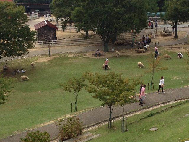 f:id:m3785com:20130915110253j:plain f:id:m3785com:20130915110253j:plain