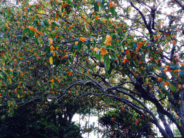 f:id:m3785com:20131027205554j:plain f:id:m3785com:20131027205554j:plain