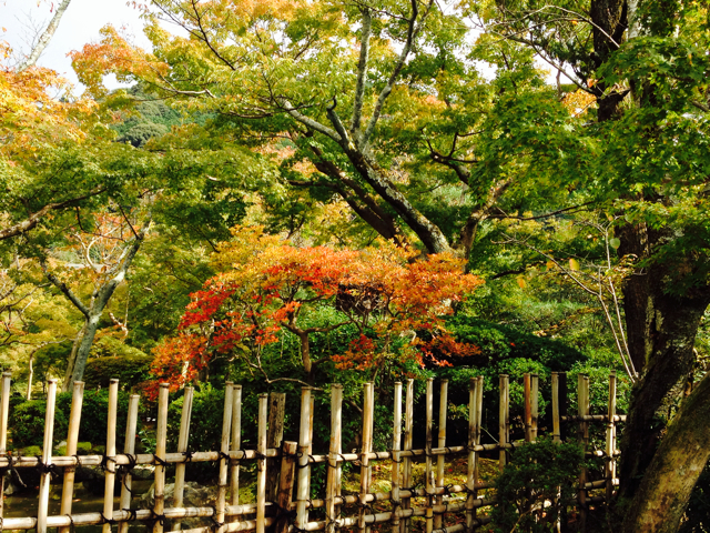 f:id:m3785com:20131027210035j:plain f:id:m3785com:20131027210035j:plain