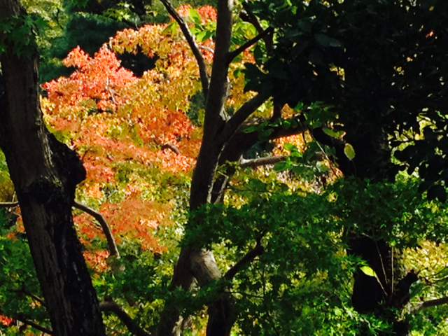 f:id:m3785com:20131027212850j:plain f:id:m3785com:20131027212850j:plain
