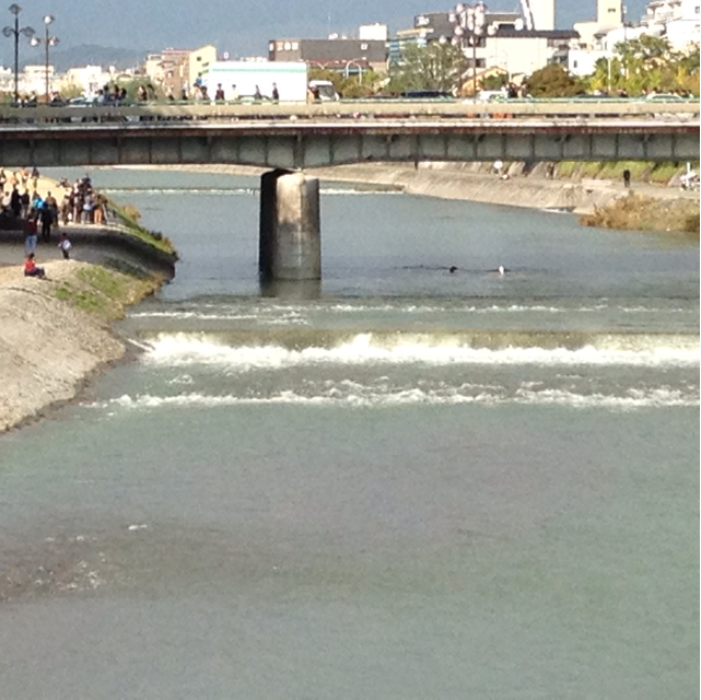 f:id:m3785com:20131027213726j:plain f:id:m3785com:20131027213726j:plain