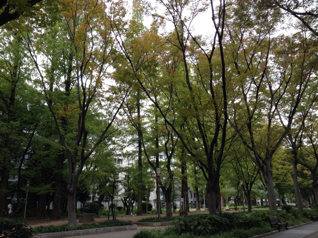 f:id:m3785com:20131103085540j:plain f:id:m3785com:20131103085540j:plain