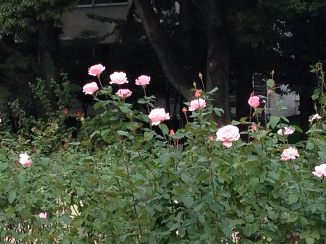f:id:m3785com:20131103085739j:plain f:id:m3785com:20131103085739j:plain