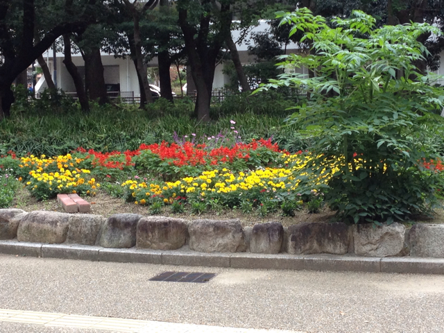 f:id:m3785com:20131103090156j:plain f:id:m3785com:20131103090156j:plain