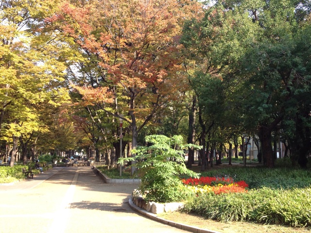 f:id:m3785com:20131116160514j:plain f:id:m3785com:20131116160514j:plain