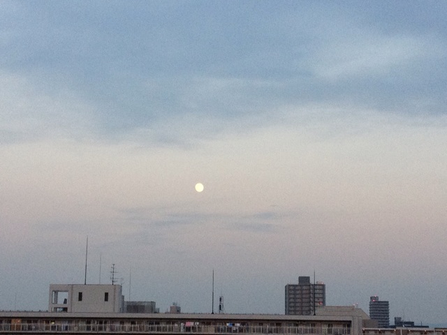 f:id:m3785com:20131116174537j:plain f:id:m3785com:20131116174537j:plain