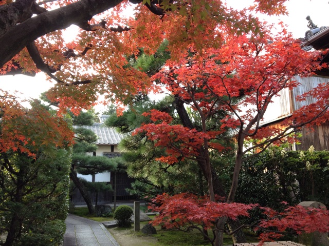f:id:m3785com:20131124162532j:plain f:id:m3785com:20131124162532j:plain