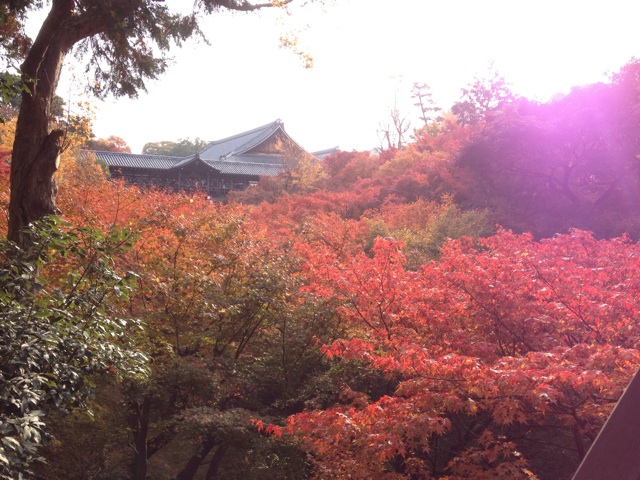 f:id:m3785com:20131124162659j:plain f:id:m3785com:20131124162659j:plain