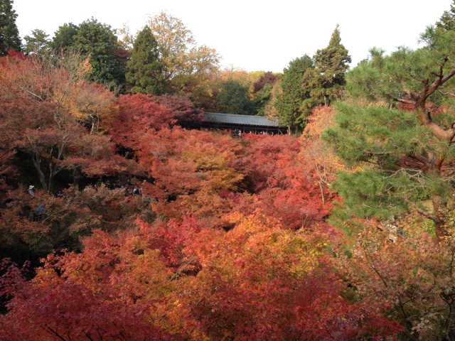 f:id:m3785com:20131124164502j:plain f:id:m3785com:20131124164502j:plain