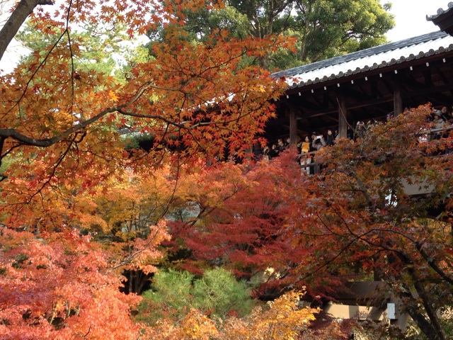 f:id:m3785com:20131124164801j:plain f:id:m3785com:20131124164801j:plain