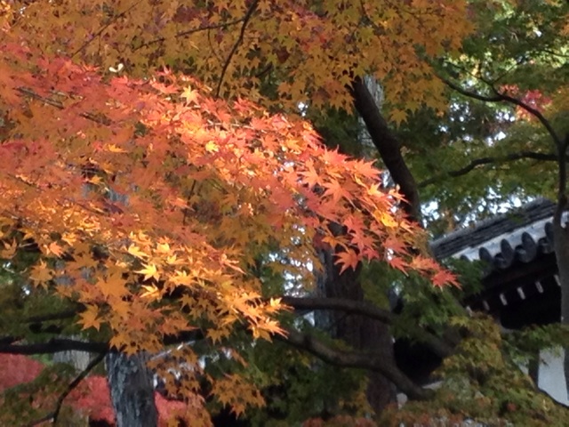f:id:m3785com:20131124165105j:plain f:id:m3785com:20131124165105j:plain