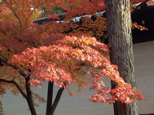 f:id:m3785com:20131124165156j:plain f:id:m3785com:20131124165156j:plain