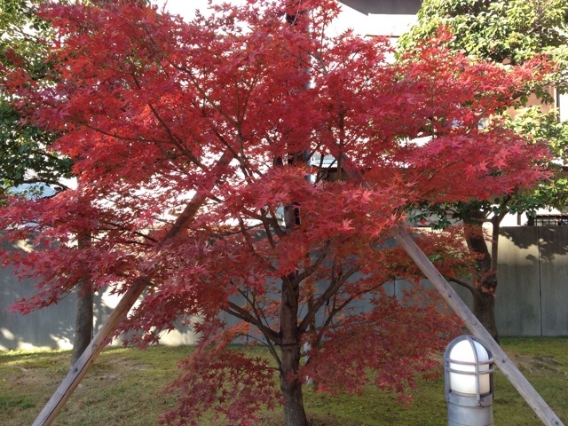 f:id:m3785com:20131212152906j:plain f:id:m3785com:20131212152906j:plain