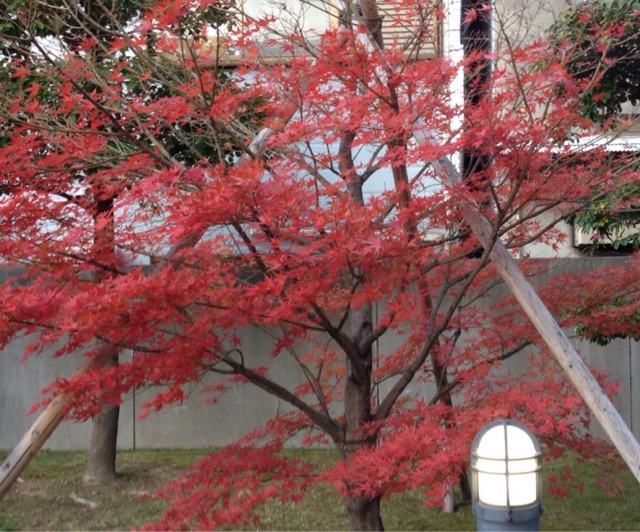 f:id:m3785com:20131214204539j:plain f:id:m3785com:20131214204539j:plain