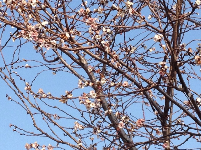 f:id:m3785com:20140216224408j:plain f:id:m3785com:20140216224408j:plain