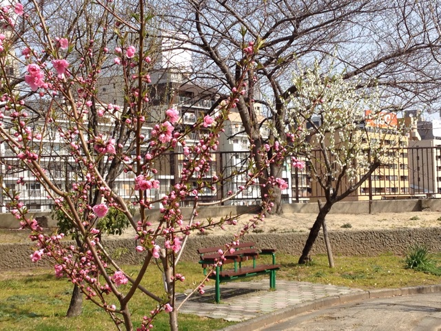 f:id:m3785com:20140319190451j:plain f:id:m3785com:20140319190451j:plain