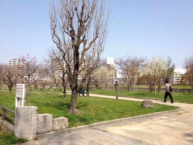 f:id:m3785com:20140319190553j:plain f:id:m3785com:20140319190553j:plain