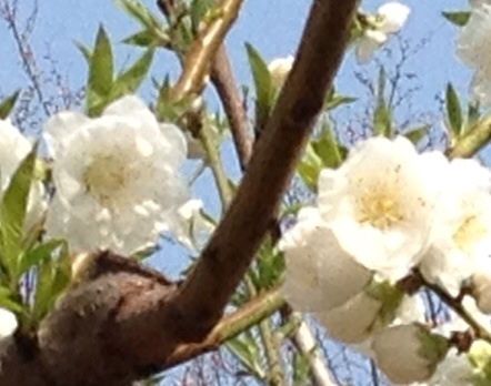 f:id:m3785com:20140319194656j:plain f:id:m3785com:20140319194656j:plain