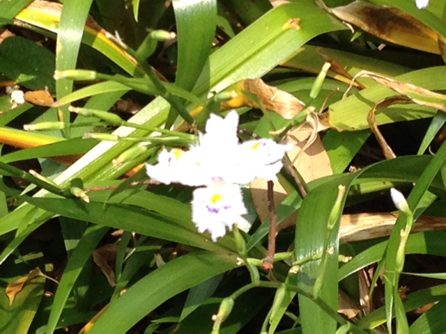 f:id:m3785com:20140501201132j:plain f:id:m3785com:20140501201132j:plain