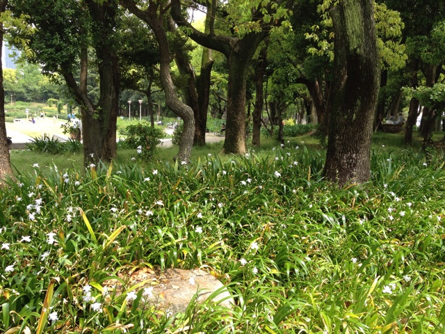 f:id:m3785com:20140501201206j:plain f:id:m3785com:20140501201206j:plain