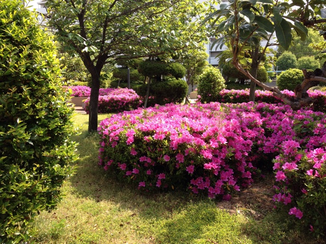f:id:m3785com:20140502175650j:plain f:id:m3785com:20140502175650j:plain