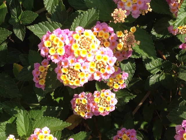f:id:m3785com:20140601093647j:plain f:id:m3785com:20140601093647j:plain