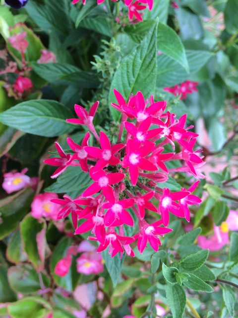 f:id:m3785com:20140823114448j:plain f:id:m3785com:20140823114448j:plain