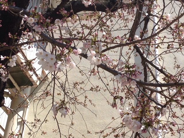 f:id:m3785com:20150328213258j:plain f:id:m3785com:20150328213258j:plain