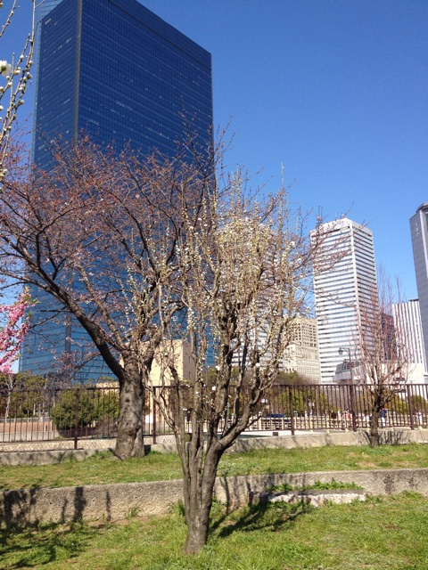 f:id:m3785com:20150328214628j:plain f:id:m3785com:20150328214628j:plain