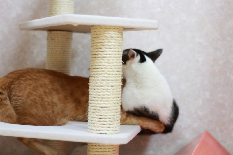 f:id:m3note:20120824190332j:plain f:id:m3note:20120824190332j:plain