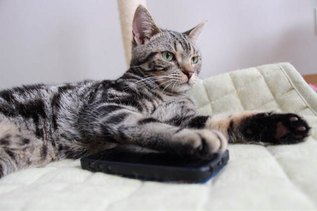 f:id:m3note:20130708053743j:plain