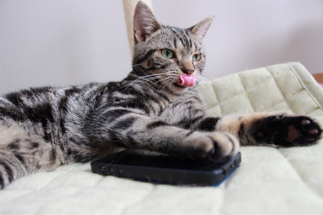 f:id:m3note:20130708053757j:plain