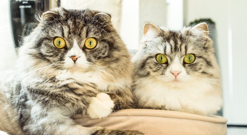 f:id:m_h:20150813175807p:plain f:id:m_h:20150813175807p:plain