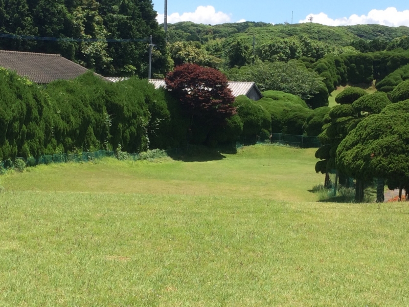 f:id:m_training:20150607223412j:plain f:id:m_training:20150607223412j:plain