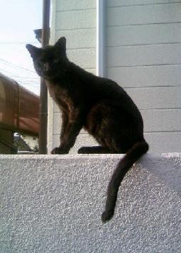 f:id:ma-kun8:20111007094949j:image f:id:ma-kun8:20111007094949j:image