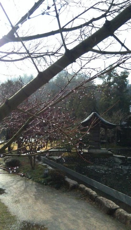 f:id:ma-kun8:20160203101819j:image:w360 f:id:ma-kun8:20160203101819j:image:w360