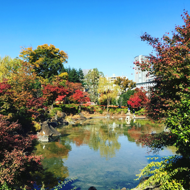 f:id:ma3tk:20160101012740p:image:h200 f:id:ma3tk:20160101012740p:image:h200