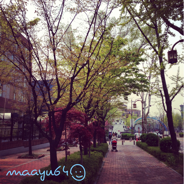 f:id:maayu64:20130503145354j:plain f:id:maayu64:20130503145354j:plain