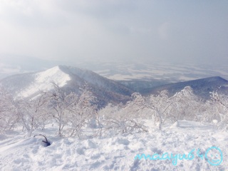 f:id:maayu64:20140126193736j:plain f:id:maayu64:20140126193736j:plain