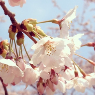 f:id:macchauno:20140426225003j:plain f:id:macchauno:20140426225003j:plain