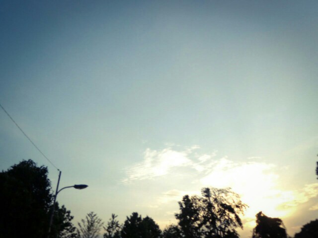 f:id:macskak:20160612175859j:image f:id:macskak:20160612175859j:image
