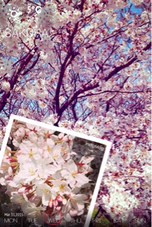 f:id:madokaraqssharqi:20150331201820j:plain f:id:madokaraqssharqi:20150331201820j:plain