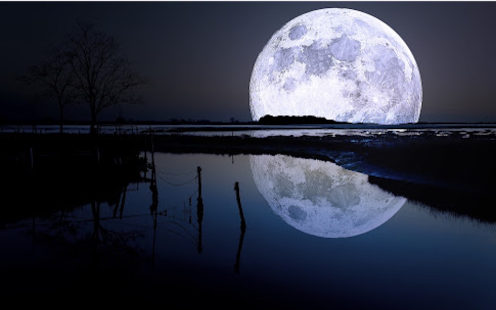 f:id:madokaraqssharqi:20150822221300j:image f:id:madokaraqssharqi:20150822221300j:image