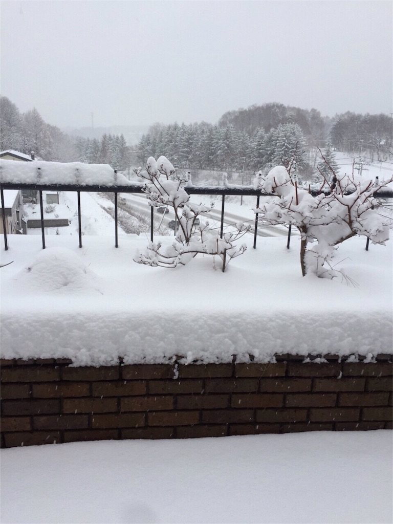 f:id:madokaraqssharqi:20151124112834j:image f:id:madokaraqssharqi:20151124112834j:image