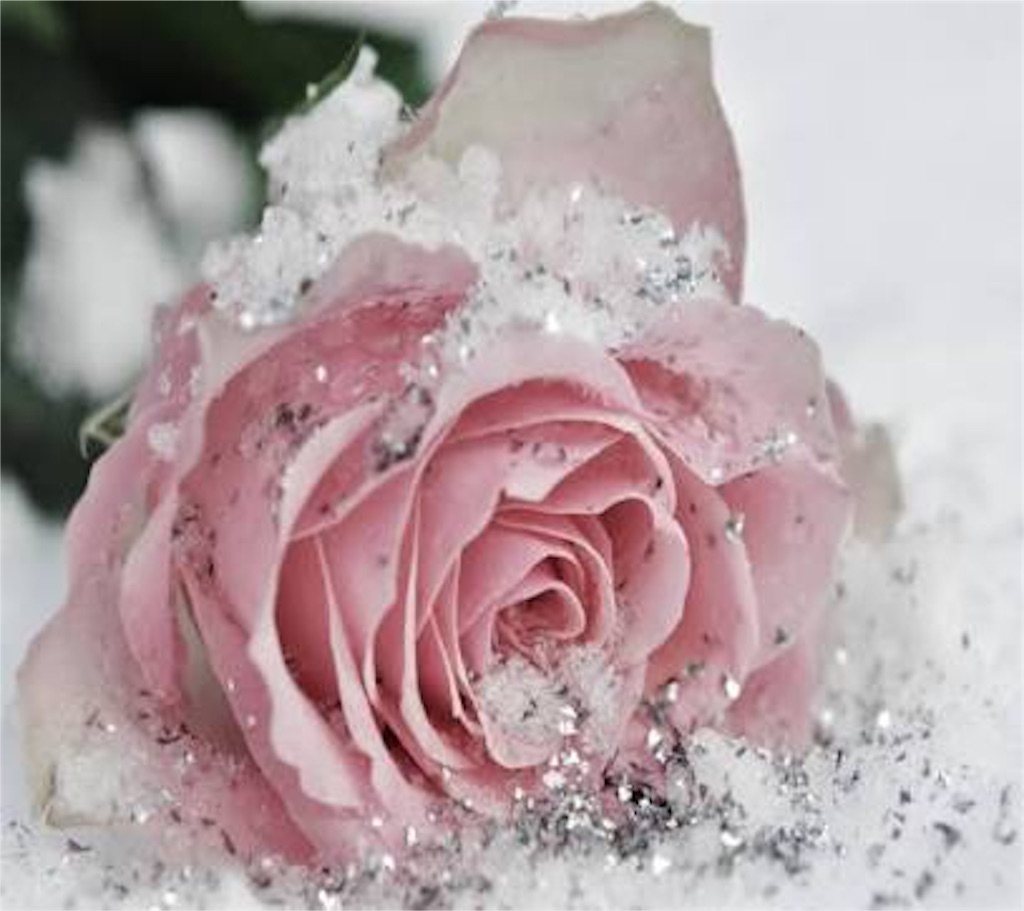 f:id:madokaraqssharqi:20160126213807j:image f:id:madokaraqssharqi:20160126213807j:image