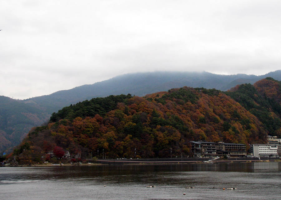 f:id:madono-life:20091119112214j:image:w500