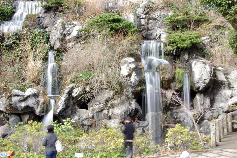 f:id:madono-life:20100214101444j:image:w450 f:id:madono-life:20100214101444j:image:w450