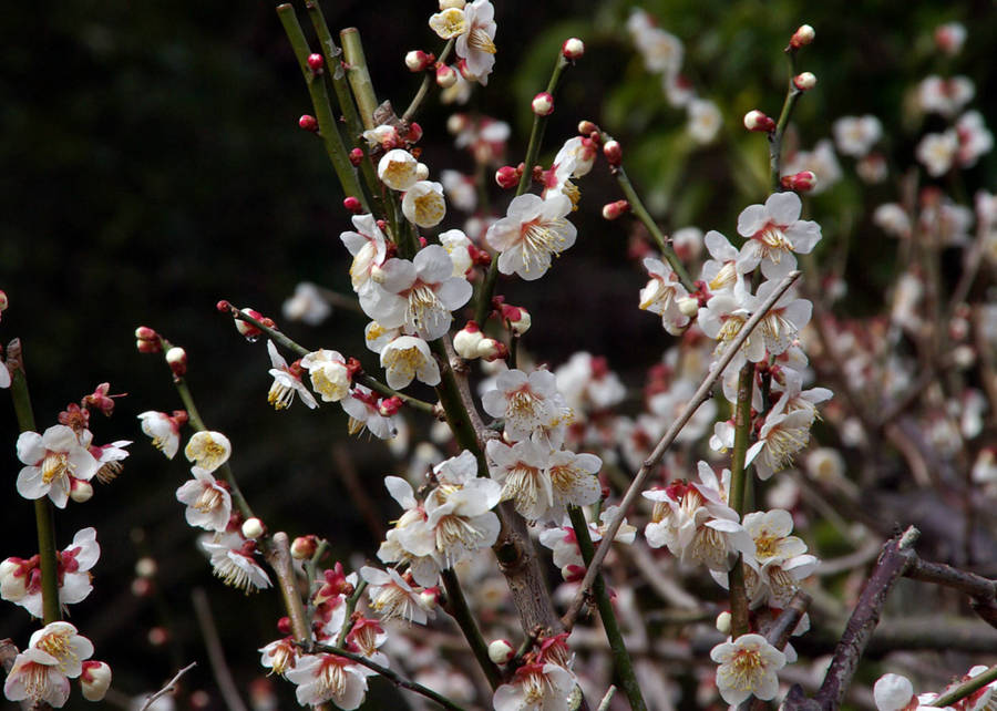 f:id:madono-life:20100214101720j:image:w500 f:id:madono-life:20100214101720j:image:w500