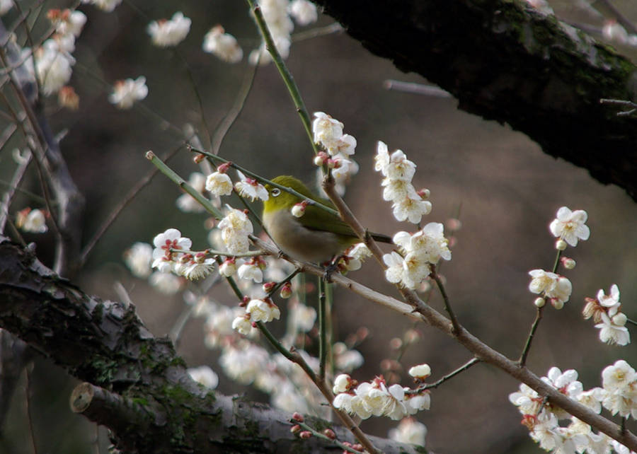 f:id:madono-life:20100214102119j:image:w450 f:id:madono-life:20100214102119j:image:w450